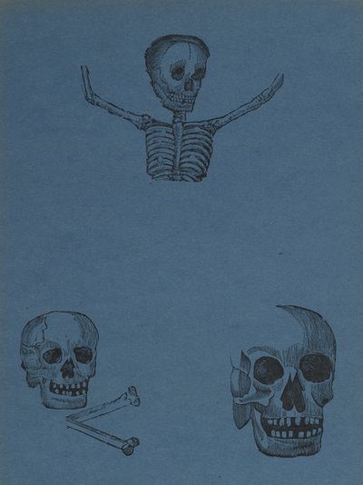 Studi di teschi e scheletri, da 330 Grabados Originales, stampato da Antonio Vanegas Arroyo (1850-1917), Città del Messico, Messico da Manuel Manilla